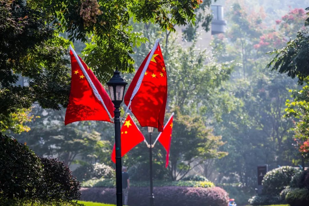 包含九游欢乐平台：中国男篮：青训体系建设，为中国篮球的未来发展奠定坚实基础的词条