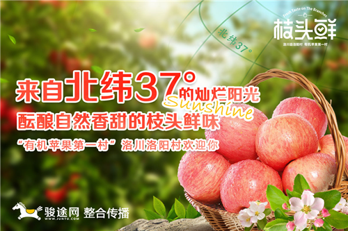 包含九游欢乐平台：中国篮球协会助力乡村振兴，篮球运动进乡村的词条